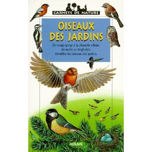 Oiseaux des jardins - Click to enlarge picture.